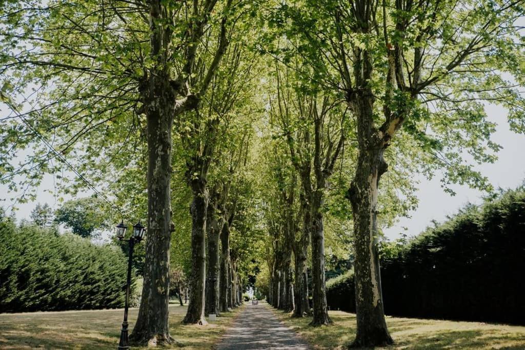 Orangerie Du Chateau Marith - Domaine Avec Piscine Clairac  外观 照片
