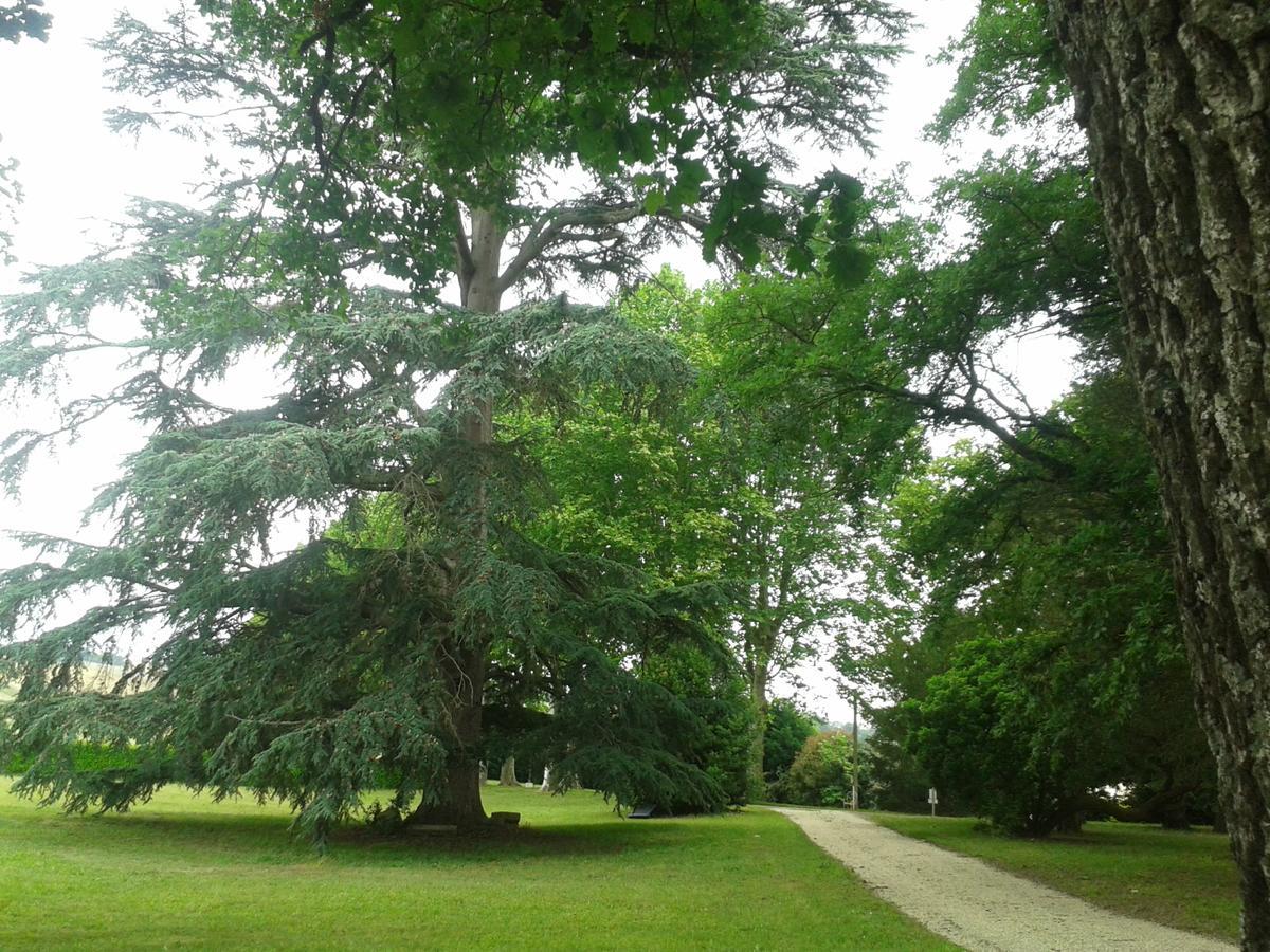 Orangerie Du Chateau Marith - Domaine Avec Piscine Clairac  外观 照片
